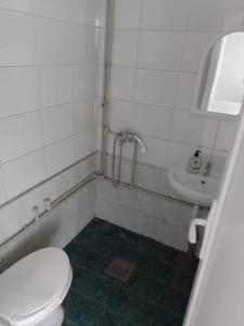 a bathroom with a toilet and a sink at Apartmant Lidija in Nov Dojran