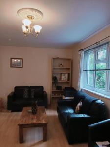 a living room with a black leather couch and a coffee table at Homely 3 Bedroom House with a Garden in London