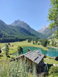 a house in a field next to a lake at Le chalet du village in Chambave