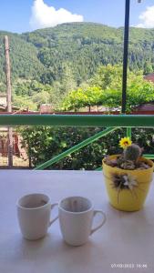 two cups of coffee on a table in front of a window at Villa Morena 