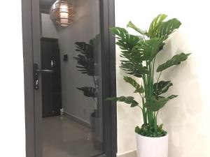 a plant in a white pot next to a mirror at Vinhome Grand Park Homestay-HappyStay in Gò Công