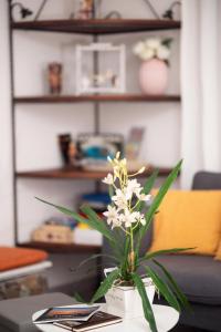 a vase filled with white flowers on a table at Casa Lugori in Torre Dei Corsari