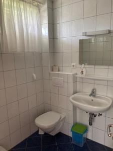 ein Bad mit einem WC und einem Waschbecken in der Unterkunft Nesterl in Schladming