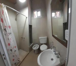 a bathroom with a sink and a toilet and a shower at CABAÑAS RINCON DEL PLATA in Potrerillos