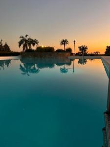 a large blue swimming pool with palm trees in the background at Las Magnolias Bodega Boutique in Gualeguaychú