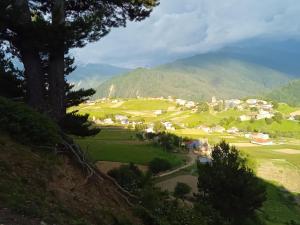 Příroda nedaleko penzionu