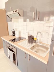 uma cozinha com um lavatório e uma bancada em Buena Vista Appartement en bord de mer em Argelès-sur-Mer