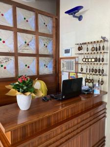 TV a/nebo společenská místnost v ubytování Hotel Rosy