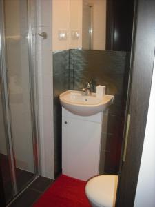 Kúpeľňa v ubytovaní Apartamenty Algador