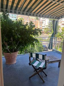 una panchina seduta su un balcone con una pianta in vaso di Eveline 2 - Piscina Privata o Jacuzzi a Sanremo