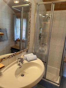 a bathroom with a sink and a shower at Neudegghof in Eben im Pongau