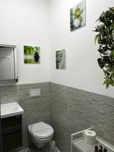 uma casa de banho com um WC e um lavatório em Pacha Residence em Timisoara