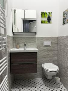 uma casa de banho com um WC, um lavatório e um espelho. em Pacha Residence em Timisoara