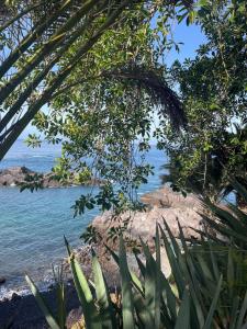 a view of the beach from under a tree at Luxury 2bedroom apartment on San Juan Beach in Playa de San Juan