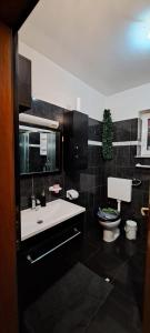 a bathroom with a white sink and a toilet at Dama Apartment in Senj