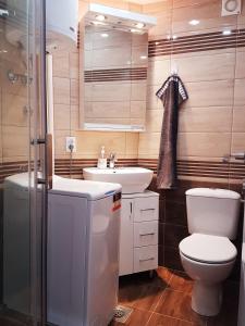 ein Bad mit einem WC, einem Waschbecken und einer Dusche in der Unterkunft Emili apartment in Belgrad
