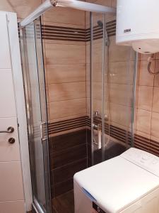 a shower with a glass door in a kitchen at Emili apartment in Belgrade +10 photos