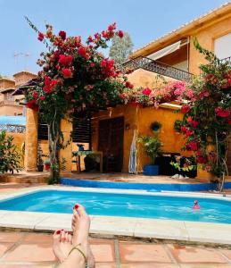 een persoon met zijn voeten naast een zwembad bij Villa con Piscina privada o Apartamento con Jacuzzi y Terraza in Almuñécar
