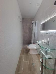 INGRID LOFTS في لا يونون: حمام مع مرحاض ومغسلة زجاجية