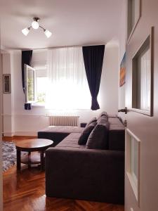 ein Wohnzimmer mit einem Sofa und einem Tisch in der Unterkunft Emili apartment in Belgrad