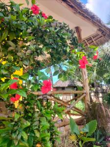 un cespuglio con fiori rossi di fronte a una casa di Kendwa Carletto Style a Kendwa