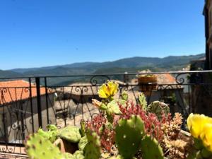 einen Kaktus auf einem Balkon mit Aussicht in der Unterkunft La terrazza sui Nebrodi in Mistretta