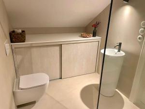 a small bathroom with a toilet and a sink at Apartmá Linda 1880 in Karlovy Vary