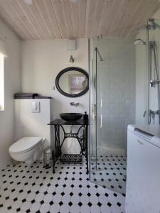 La salle de bains est pourvue d'un lavabo, de toilettes et d'un miroir. dans l'établissement Kaldeni majutus, à Are