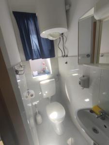 Baño blanco con aseo y lavamanos en Apartments Berbić, en Šibenik