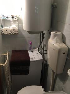 a small bathroom with a toilet and a sink at City Center apartment in Podgorica