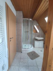 a bathroom with a shower and a sink at Cosy Retreat in Friolzheim in Friolzheim