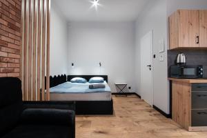 Kuchnia lub aneks kuchenny w obiekcie Dream Apartments - Gdańska 72
