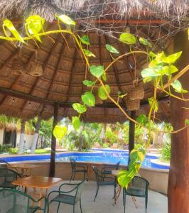 Fotografie z fotogalerie ubytování Mayan Mittoz v destinaci Ostrov Holbox