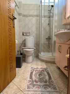 La salle de bains est pourvue d'une douche, de toilettes et d'un lavabo. dans l'établissement G & A APARTMENT, à Orestiáda