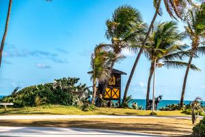 una casa en una playa con palmeras y el océano en Duplex na beira da praia, de frente pro mar, en Salvador