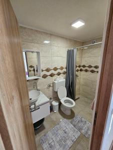 a bathroom with a toilet and a sink and a shower at Delimustafić apartmani in Visoko