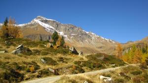 une chaîne de montagnes avec une route au premier plan dans l'établissement Alpengasthof Gutenbrunn, à Mallnitz