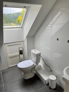 a white bathroom with a toilet and a window at Apartmány Slunce in Jeseník