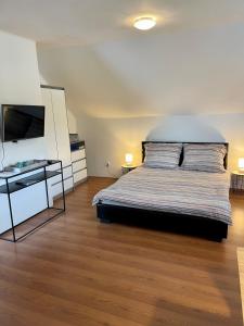 a bedroom with a bed and a flat screen tv at Apartmány Slunce in Jeseník
