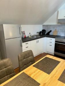 a kitchen with a refrigerator and a table and chairs at Apartmány Slunce in Jeseník