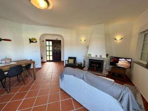 ein Wohnzimmer mit einem Sofa und einem Kamin in der Unterkunft Best Houses 91 - Casa D'el Rey in Amoreira