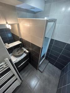uma casa de banho com um chuveiro, um WC e um espelho. em Les Appartements d'Edmond Rome Favier em Marselha