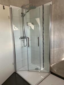 um chuveiro com uma porta de vidro na casa de banho em Wolfenbüttler Apartment em Volfembutel