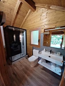 a bathroom with a toilet and a sink and a mirror at IRATIKO KABIAK in Orbaiceta