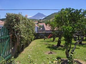 einen Hof mit Bäumen, einem Zaun und einem Berg in der Unterkunft Quinta do Canto in Horta