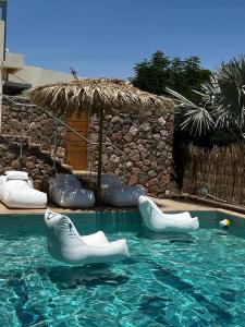 uma piscina com algumas cadeiras insufláveis na água em Exotic Shanty Villa Casa Mia em Eilat