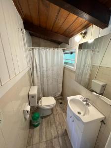 ein Badezimmer mit Toilette und Waschbecken in der Unterkunft Casita Silvestre y Casa Rosa in Villa La Angostura