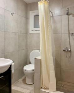 a bathroom with a toilet and a sink and a shower at Casita Silvestre y Casa Rosa in Villa La Angostura