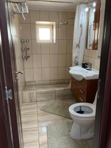 a bathroom with a shower and a toilet and a sink at Alex Apartament in Mangalia