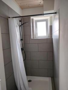baño con cortina de ducha y ventana en Gartenblick en Reichenberg